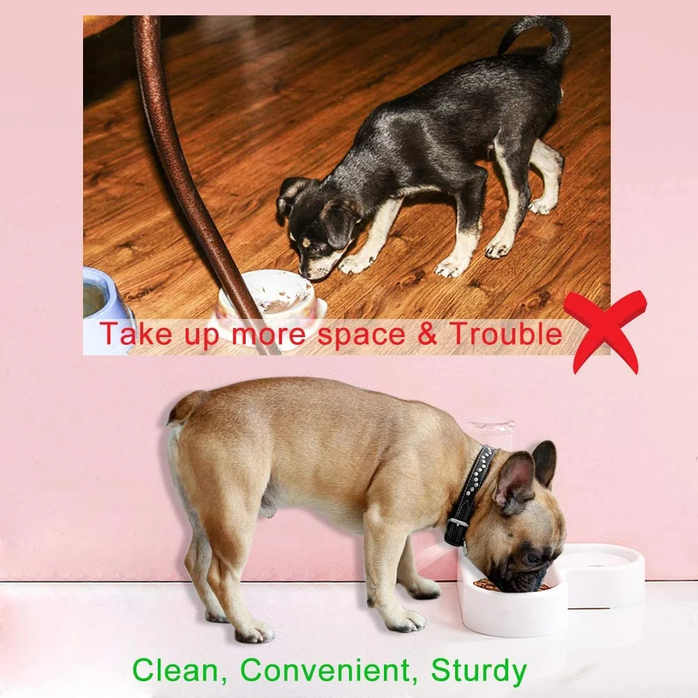 Automatic Pet Water Dispenser and Food Bowl for Dogs and Cats - Easy to Clean PP Design