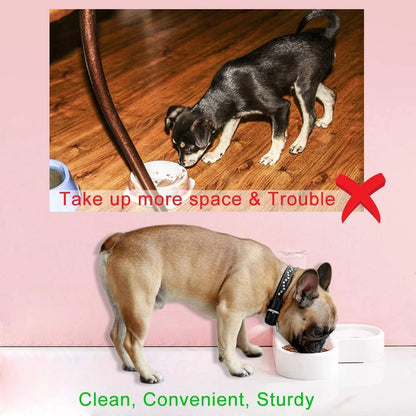 Automatic Pet Water Dispenser and Food Bowl for Dogs and Cats - Easy to Clean PP Design
