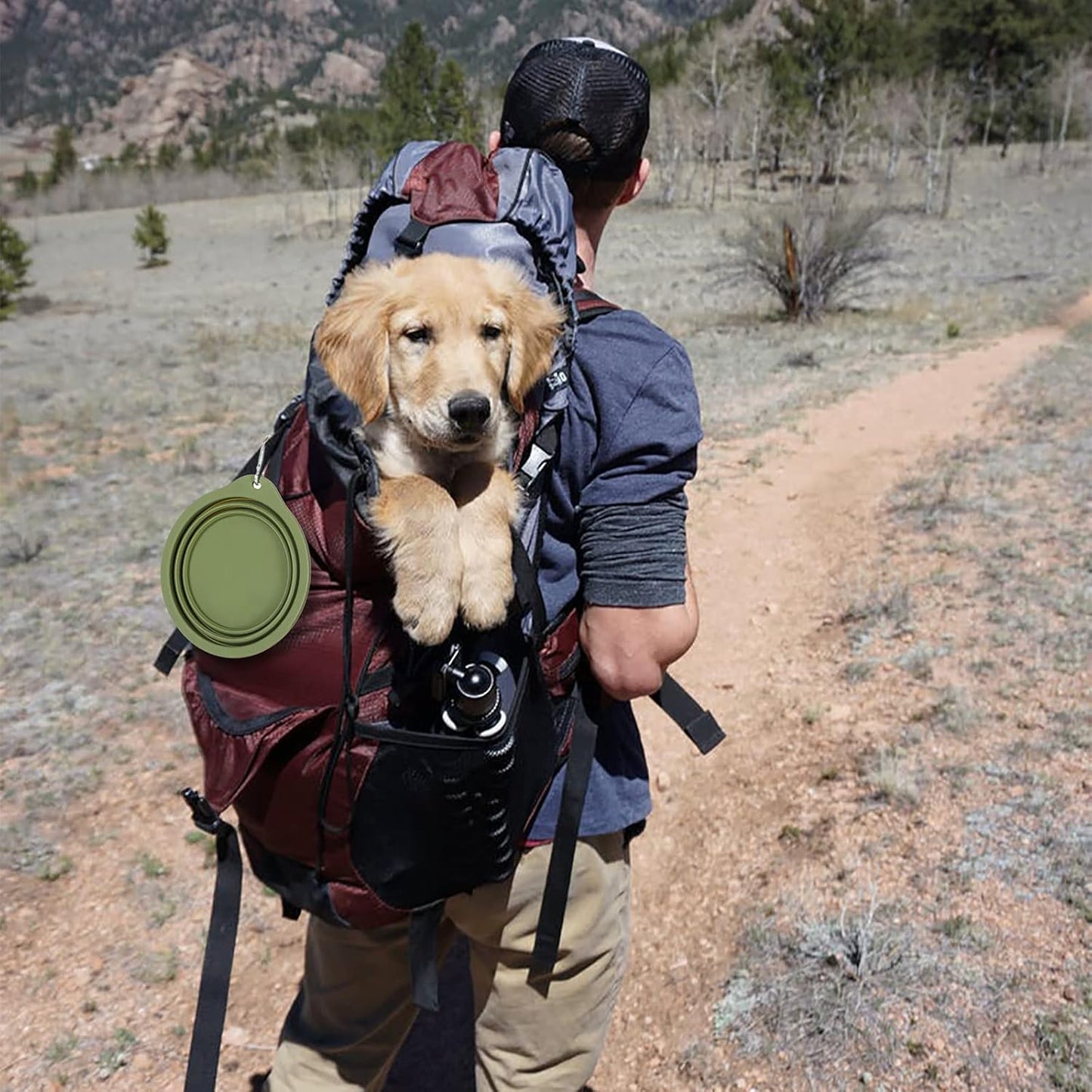 Pack de 2 Comederos Plegables para Perros, Diseño Integrado sin Borde de Plástico, Ideales para Viajes y Uso en Exteriores, 600 ml (Azul Marino y Verde Oscuro)