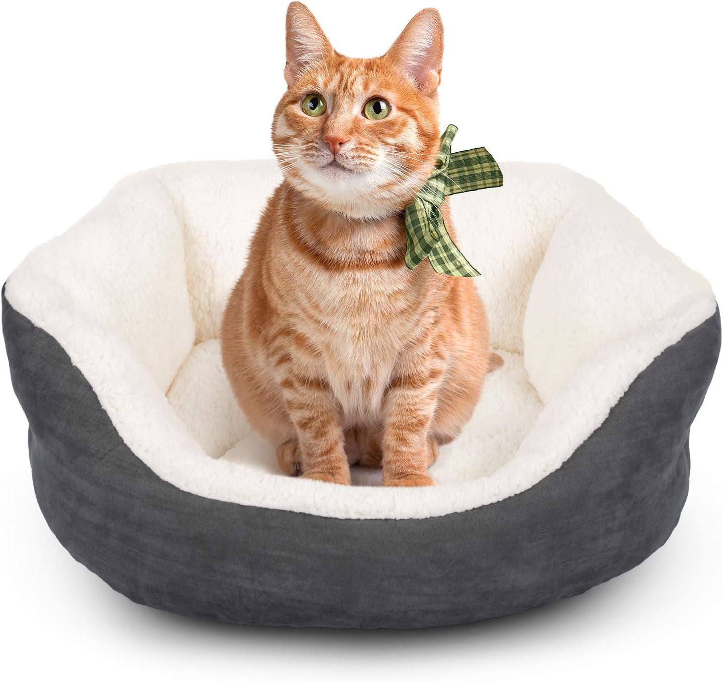 Indoor Small Dog and Cat Bed, 20-Inch Washable Flannel with Anti-Slip Bottom, Ideal for Puppies and Cats