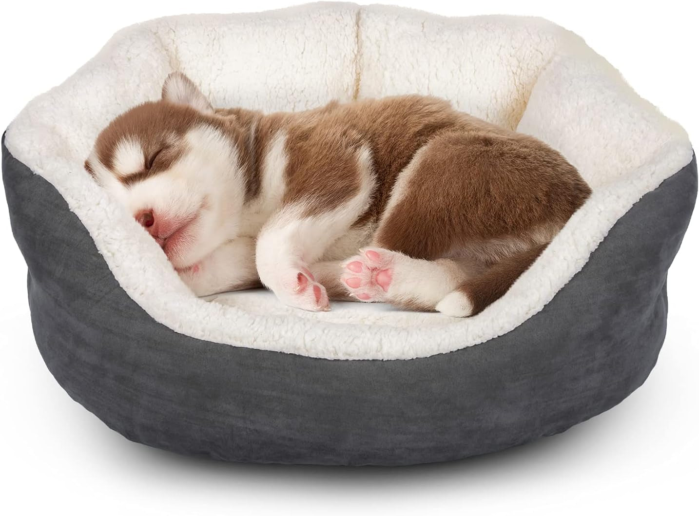 Indoor Small Dog and Cat Bed, 20-Inch Washable Flannel with Anti-Slip Bottom, Ideal for Puppies and Cats